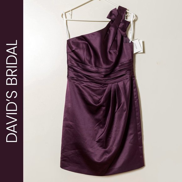 David's Bridal Dresses & Skirts - David’s Bridal - Dress NWT - Plum Size 10